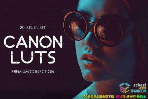 20组佳能Canon视频剪辑分级调色LUT预设下载 Canon video LUTs