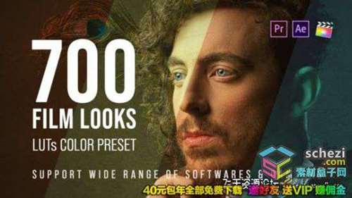 700个LUTs商业广告电影户外风景室内生活婚礼视频调色LUTs预设