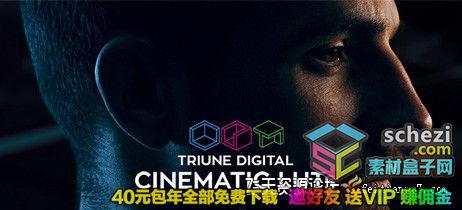 300组LUTs电影大片风格调色预设 Triune Digital: Cinematic LUTs