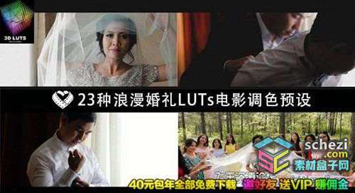 23种浪漫唯美婚礼 LUTs 电影调色预设 LAPARDIN WEDLUTS