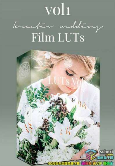 高端婚礼视频调色LUTs预设-Kreativ Wedding LUTs Vol1 (Win/Mac)