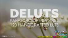 DELUTS-200+松下GH4/R VLOG-L专用电影级调色LUTs预设下载