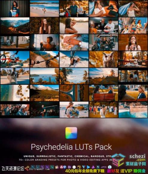 73个奇幻新奇梦幻超现实LUTS视频调色预设(FCPX/达芬奇/AE/PR/C1