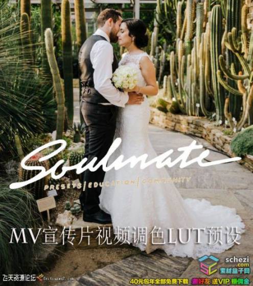 12个家庭MV宣传片短视频暖色调LUT预设(FCPX/达芬奇/AE/PR/PS)