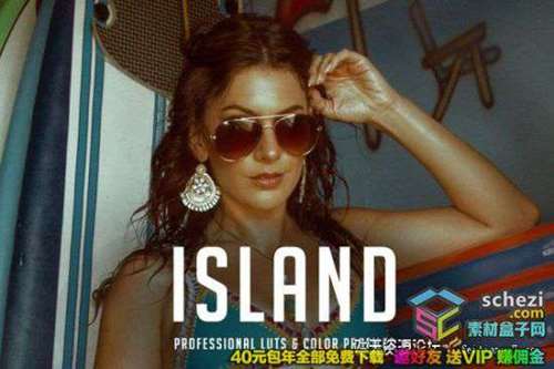 夏秋温暖葡萄酒色调LUT预设下载 Premium Vintage LUT