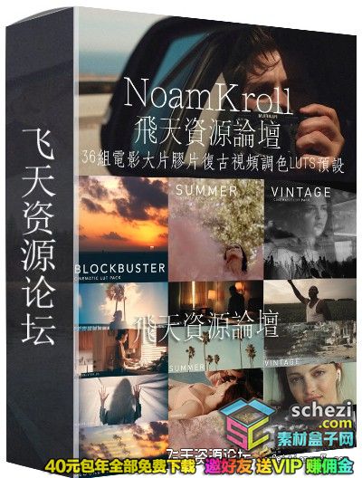 NoamKroll 36组电影大片胶片复古视频调色LUTS预设(AE/Pr/FCPX/Ps等)