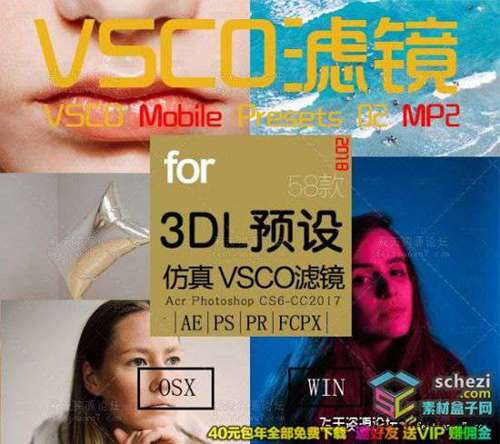 VSCO全滤镜转LUTs预设3D LUTs Mobile MP2人像日系婚礼胶片LUTs预设