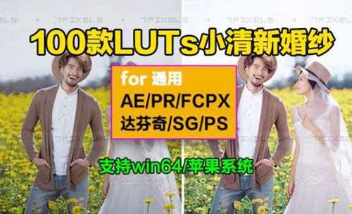 100款LUTs预设日系小清新婚纱人像LUTs调色