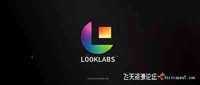 25组达芬奇专业电影调色 LUTs 预设 SpeedLooks Cine Luts  (Win/Mac)