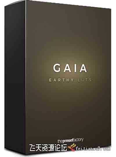 预设工厂-旅拍婚礼柔和自然视频调色LUT预设|支持AE/PR/FCPX/PS