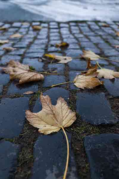 徕卡Leica SL2的RAW原片15