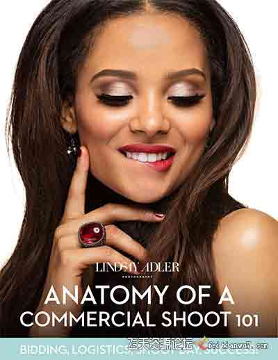[人像]摄影师Lindsay Adler –解剖商业摄影-了解如何进行专业的商业拍摄-中文字幕