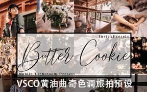 lr预设VSCO黄油曲奇色调旅拍预设