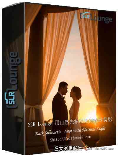 [婚纱]SLR Lounge-自然光拍摄修饰婚纱剪影教程 Shot with Natural Light-中文字幕