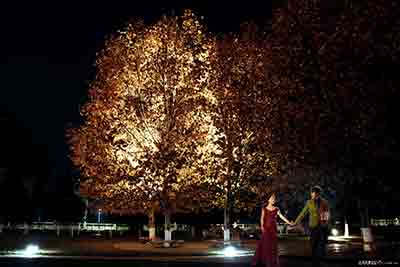 [婚纱]高质量 婚纱 4D 外景 PSD合成模板+素材