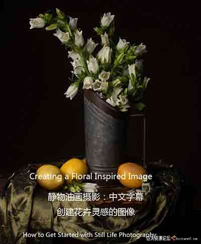 [产品静物]静物油画摄影-创建灵感花卉油画风格摄影布光教程-中文字幕