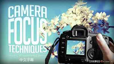 [入门]Larry Becker相机景深对焦技术-拍出超清晰照片的关键-中文字幕