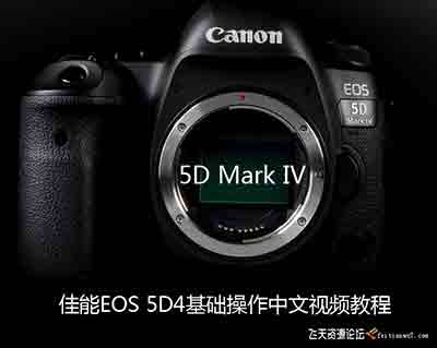[入门]5D Mark IV佳能EOS 5D4快速入门基础操作视频教程-中文教程-中文字幕