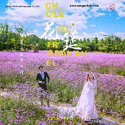 花筵CHLOE克洛伊同款素材25P