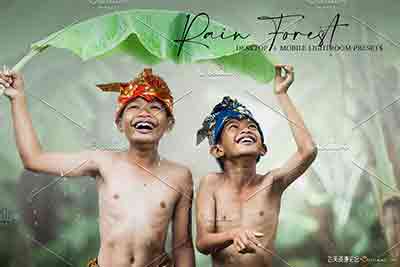 [胶片]热带雨林电影色调+手机预设 Rain Forest -Lightroom预设