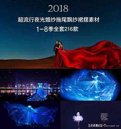 [婚纱]2108超流行影楼夜光婚纱拖尾飘纱头纱裙摆PSD素材1-8季全套216P