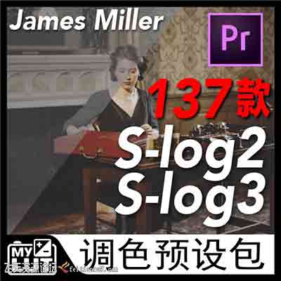 DELUTS SONY A7s CINE 4,SLOG2 & SLOG3索尼电影级调色LUT预设 共284个
