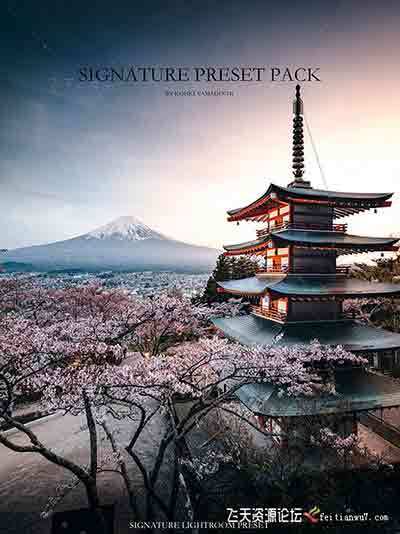 [日系]日本摄影师山口幸树（Kohki Yamaguchi）签名Lightroom预设