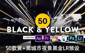 50款黄+黑城市夜景黑金LR/LUTS预设