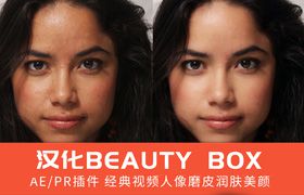 AE/PR视频人像美颜磨皮插件Beauty Box5.0.8中文汉化版Win