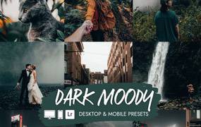 lr预设黑暗穆迪PS/LR预设Dark Moody Presets