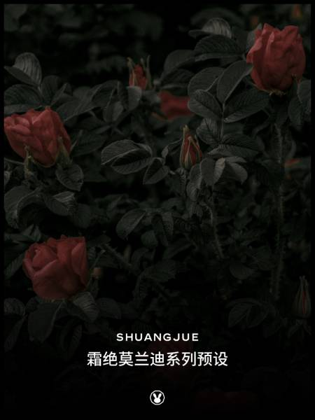 lr预设霜绝预设日系胶片莫兰迪lightroom调色滤镜ps