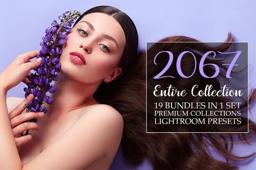 [合集]2067款高级预设套装 婚礼、儿童、电影、房地产、巧克力色、产品摄影