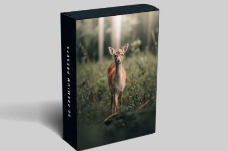 [合集]迈克尔J卡格勒商业摄影预设集Michael Kagerer - The Original Collection