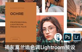 lr预设褐灰莫兰迪色调Lightroom预设 VEER Ochre Lightroom Presets