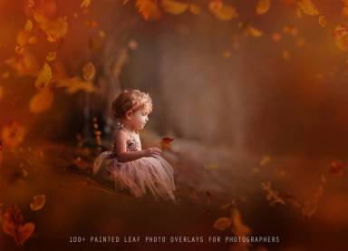 100+秋季落叶前景叠加素材