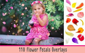 110个唯美鲜花花瓣花卉飘落叠加后期合成素材