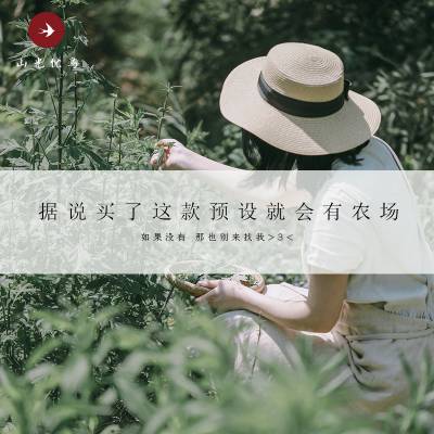 lr预设安静中式山里森林绿树农场摄影图修图滤镜预设