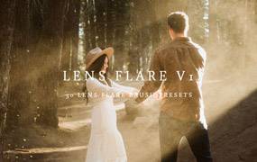 lr预设30 个镜头光晕笔刷PS/LR预设调整画笔预设Meridian The LLFx - Lens Flare Volume 1