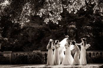 延时摄影教学大全，走向大师之路 附软件和全套素材