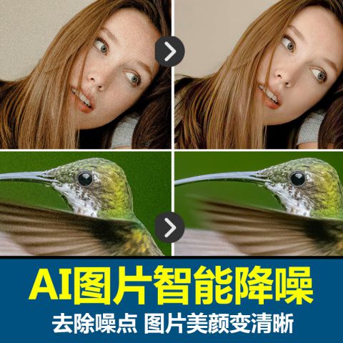 人工智能降噪PS插件 Topaz DeNoise AI 3.6.2汉化版Win/Mac