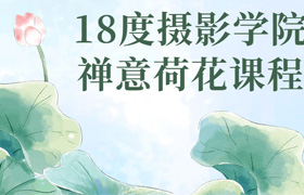 禅意荷花课程