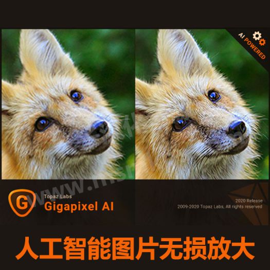 Topaz A.I. Gigapixel 5.6.1AI人工智能图片无损放大软件汉化版win+mac