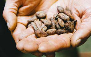 lr预设E-6胶卷lightroom预设 The Northern Kentucky Derby E6