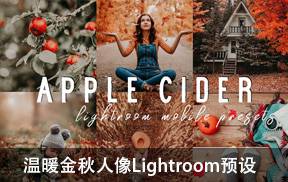 lr预设温暖金秋lightroom预设+手机LR预设
