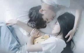 猫的树视频作品集及视频拍摄教程