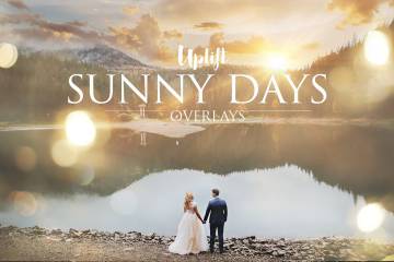 照片氛围营造素材太阳光斑高清纹理+动作 Sunny Days Sun Flare Overlays