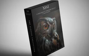 lr预设挪威摄影师Morten Munthe电影预设