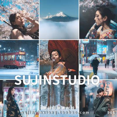 柔光微蓝滤镜/照亮你的美LR预设PS调色PR达芬奇FCPX手机版LUTS