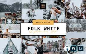 ins低饱和中性灰胶片预设