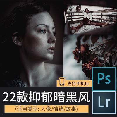 lr预设抑郁暗黑系恐怖气氛调色后期LR胶片预设